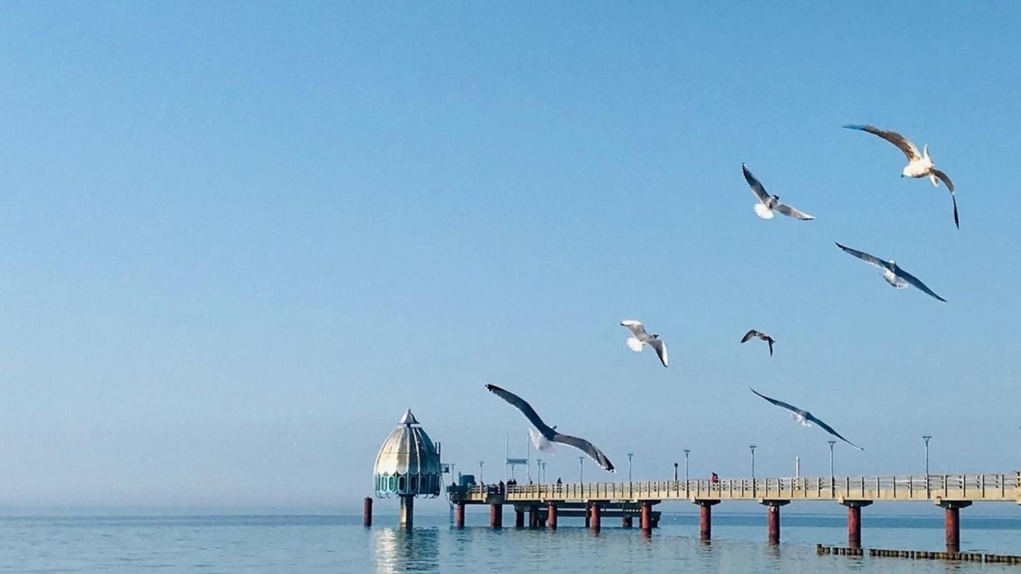 Adele Apartment Zingst Bagian luar foto